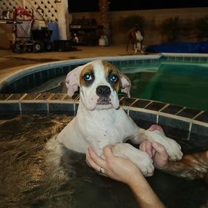 Meet your Posher, Eric